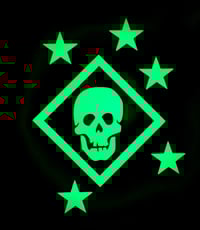 Image 1 of Glow in the Dark Raider Decal