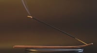 Image 10 of Mosquito Repellent Incense Sticks