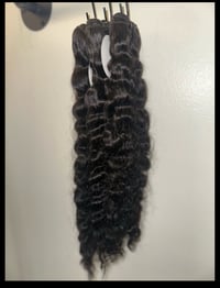 Image 2 of Raw Vietnamese Burmeese Curly 