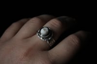 Image 2 of Dead Good human tooth ring !