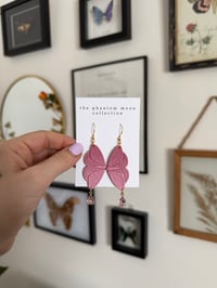 Image 2 of Pink Moth