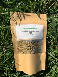 Image 2 of Mucus Cleanse Support Herbal Tea Blend
