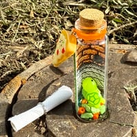 Image 15 of Turtles - Message in a Bottle