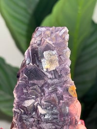Image 6 of NATURAL RAINBOW IRIDESCENT CUBIC FLUORITE -CHINA- R