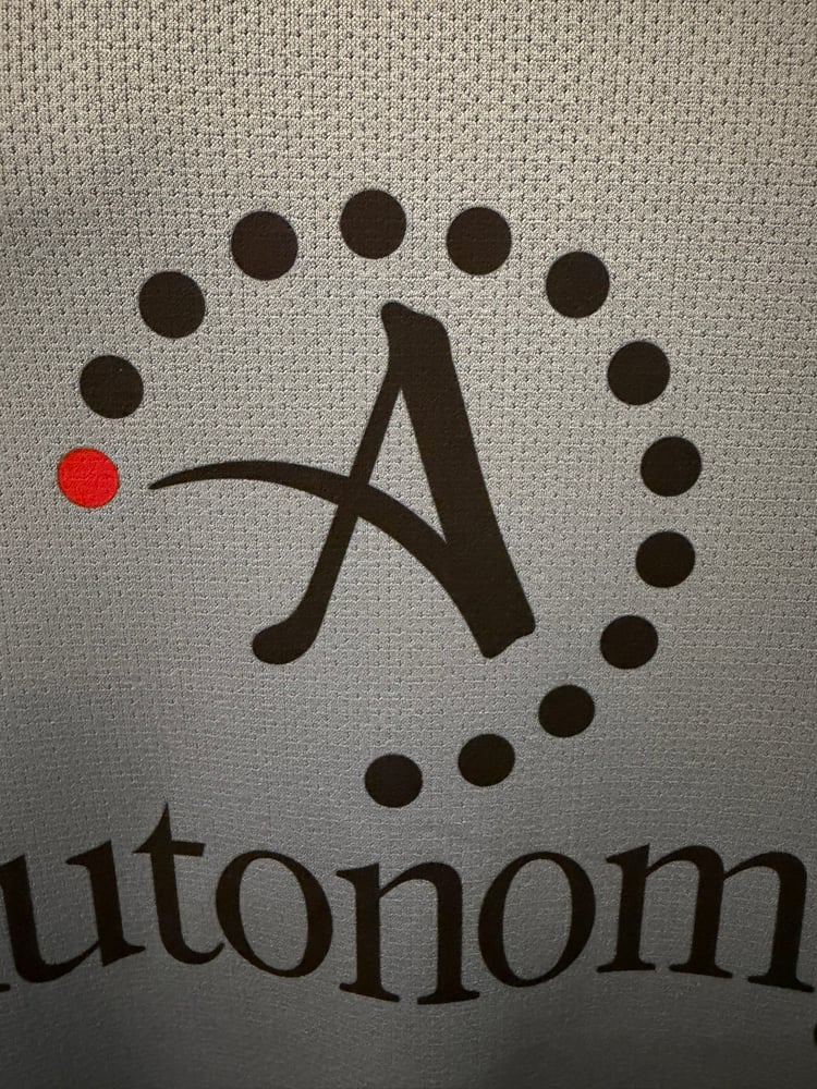 Image of Tottenham Hotspur “BALE 3” 2010/11 Away Shirt + PL patches  (S)