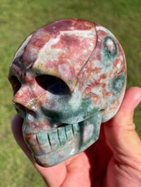 Image 1 of Ocean Jasper Skull #1760