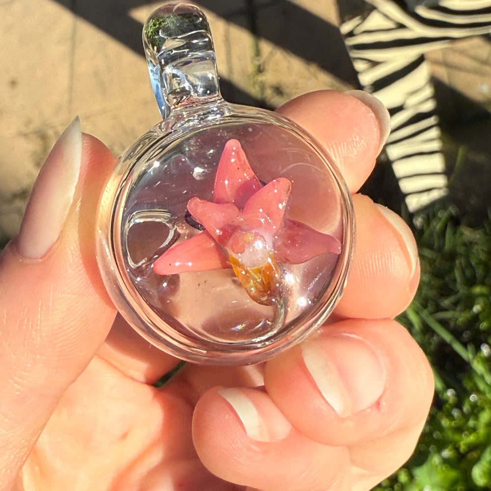 Image of Micro Flower Bubble Encapsulations