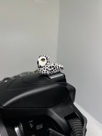 Image 1 of Snowy Owl Hotshoe Cover