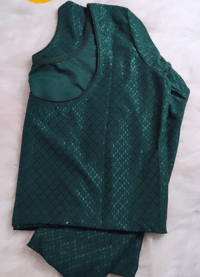 Image 4 of Chandra_Premium Quality Stretchable Blouse  with Long Sleeves
