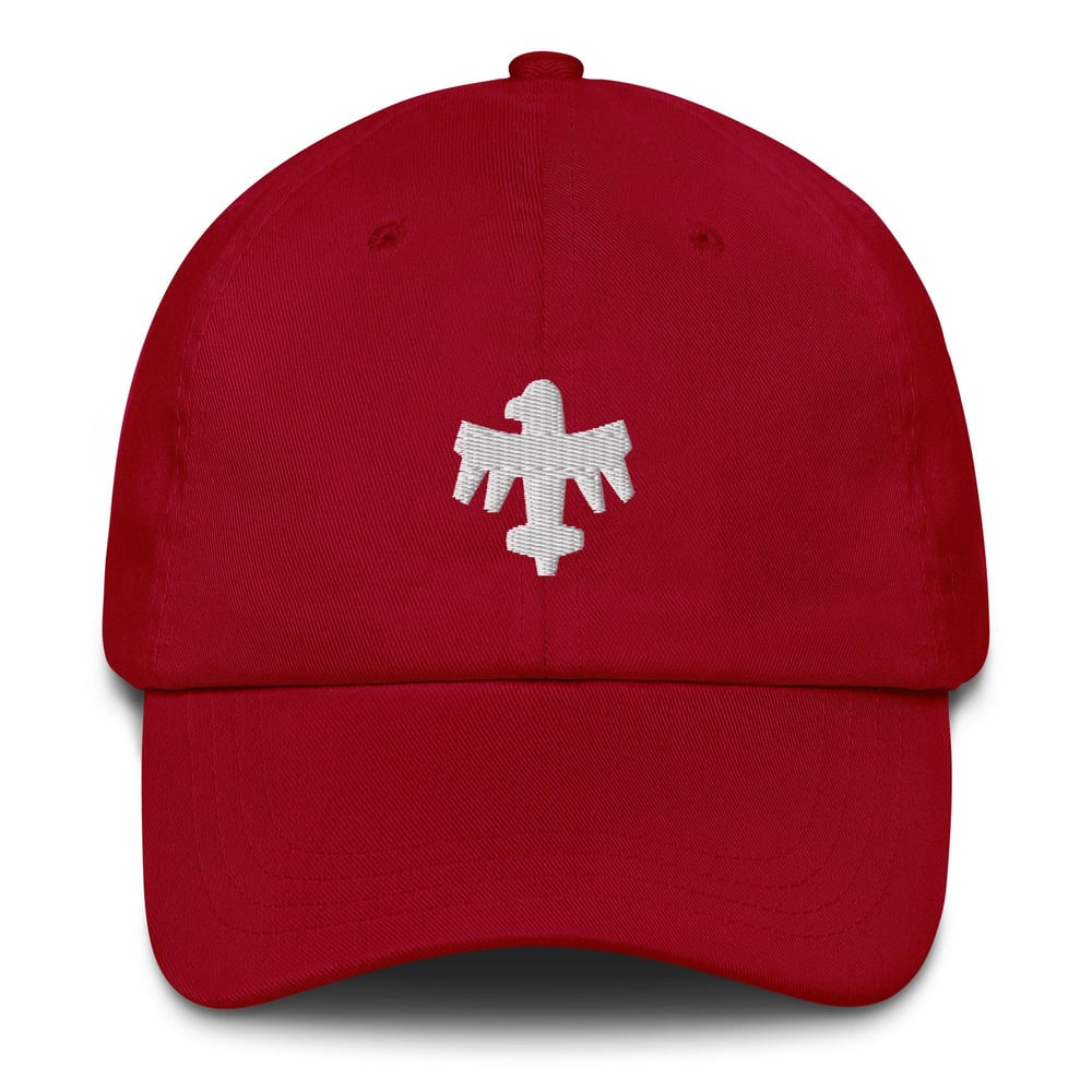 Image of UCF 🐝 🐞 🐛 Embroidered Cap