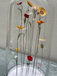 Image 2 of Jardin intérieur, fleurs sous cloche XL -1