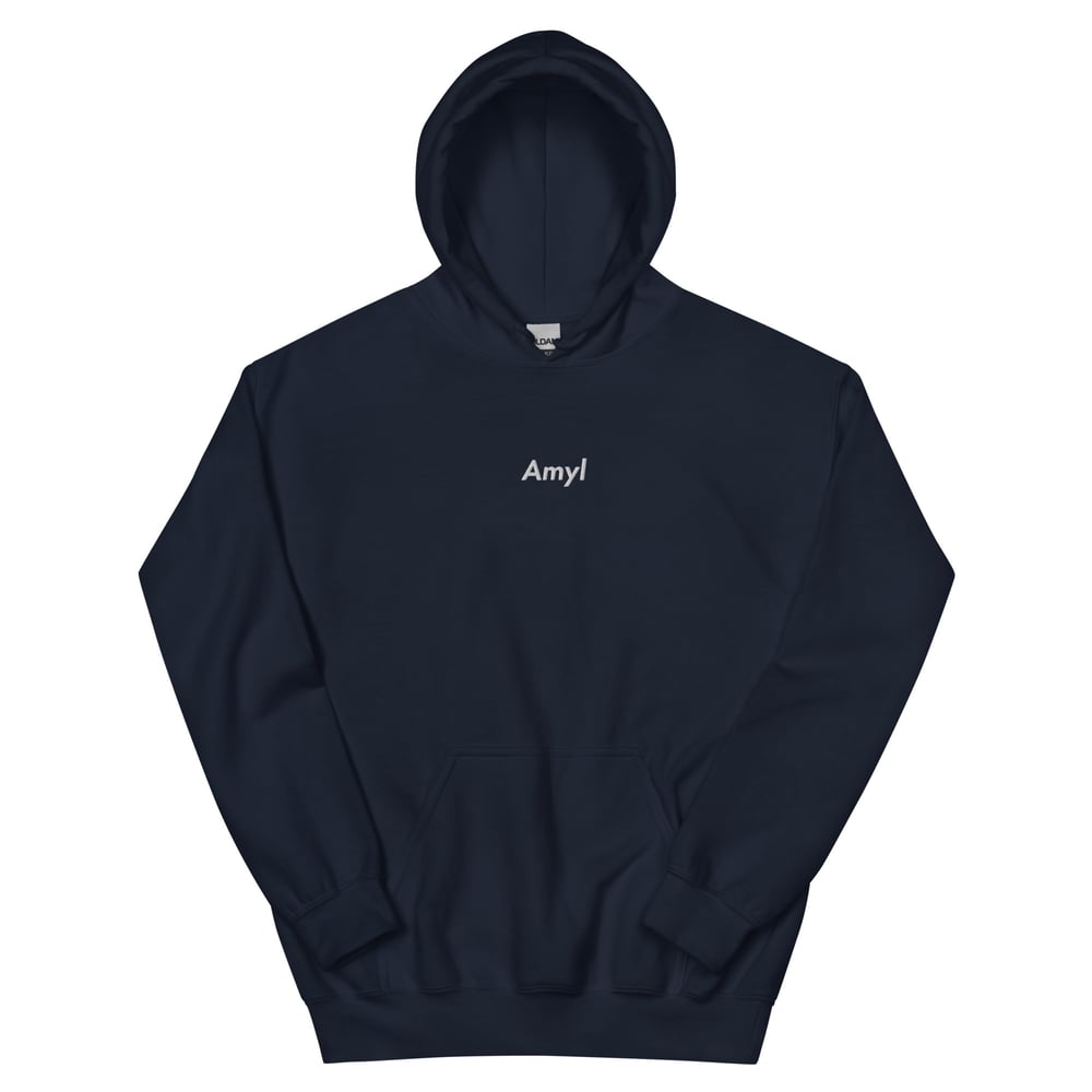 Amyl Embroidered Hoodie