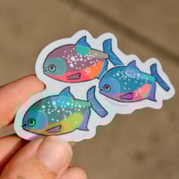 Image 1 of Piranha Holo 3” Sticker