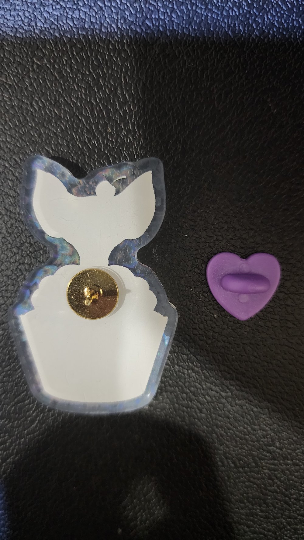 Acrylic pin
