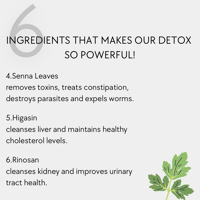Image 3 of Herbal Detox