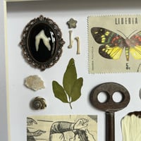 Image 5 of trinket frame #5