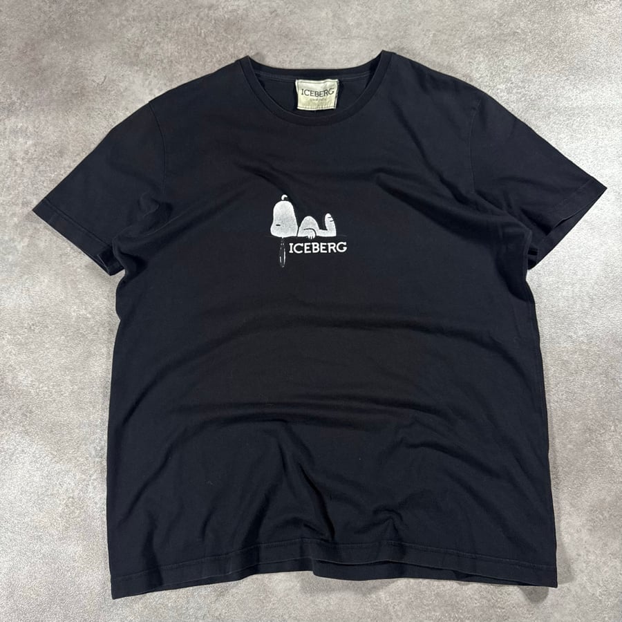 Image of Iceberg T-shirt, Size Large
