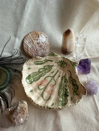 Image 2 of Coquillage en céramique_Nature🌟