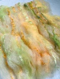 Image 1 of Tropical Batt #2