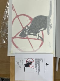 Image 4 of Anarchist 2020