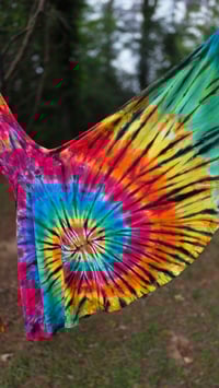 Image 8 of Electric Swerve