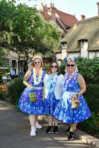 Image 3 of Blue Stitch Collection