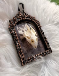 Image 3 of Haunted Turtle I