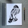 Eagle A4 Print