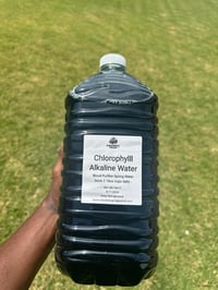 Chlorophyll Water 1 g