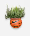 PLANTSBALL (L)