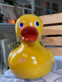 Image 2 of Rainbow Elephant Bush in Yellow Ducky