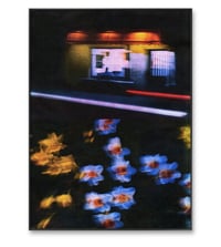 Image 3 of NIGHT DRIVE, DAFFODILS III