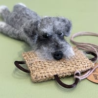 Image 2 of Schnauzer