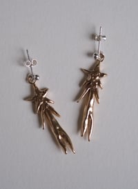 Stargazer Earrings - Bronze with silver ear posts