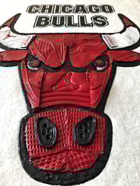 Image 5 of Chicago Bulls “Like Mike”