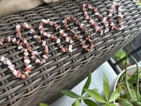 Image 4 of Sacred Berry