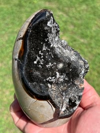 Image 10 of Septarian Nodule Polished Freeform With Calcite Inclusions| Madagascar #2892