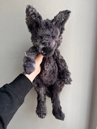 Image 9 of Pre-Order Mystery Wolf