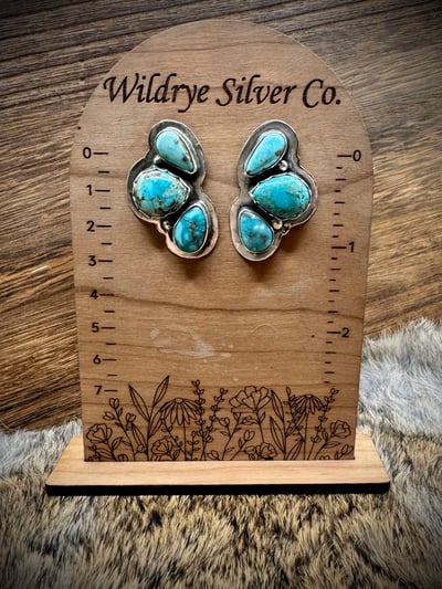 Image of Dry Creek earrings