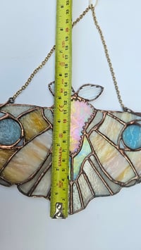 Image 4 of Milk moth