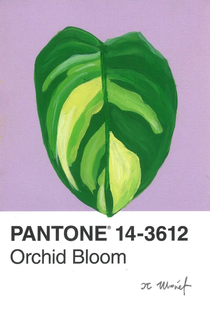 Image of Variegated Leaf Pantone