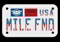 Image 2 of USA Plate