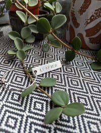 Image 2 of Leafy Keyring