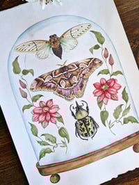 Image 1 of March Dome ORIGINAL ARTWORK