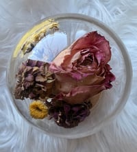 Image 5 of Fox Spine Cloche 