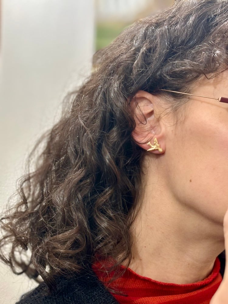 Image of Orecchini Bird