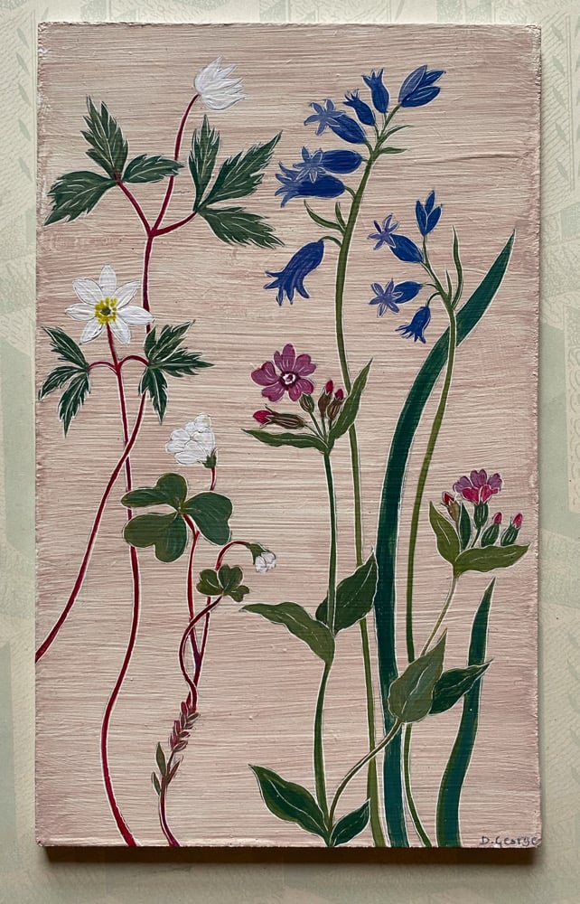 Image of Wild Flower Study