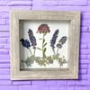Plum Chrysanthemum, Veronica, Lavender And Catmint Wildflowers In 6" X 6" Shadow Box (Item# 202206S)