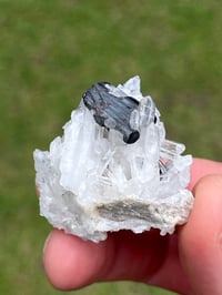 Image 4 of Hübnerite & Fine Quartz Points Specimen | Peru #3060