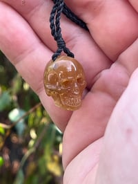 Image 3 of Toffee Amber Skull